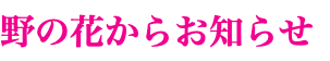 野の花からお知らせ